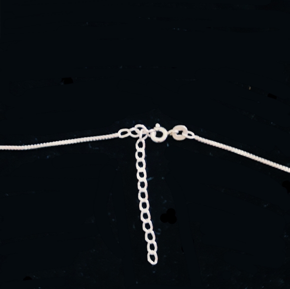 Ruby in Fuchsite .925 Necklace - Picture 2 of 3